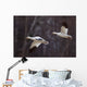 Two Snow Geese In Flight During Spring In The Matanuska Valley Wall Mural
