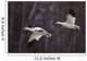Two Snow Geese In Flight During Spring In The Matanuska Valley Wall Mural