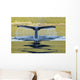 Humpback Whale Diving With Tail Fluke Visible Wall Mural
