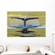 Humpback Whale Diving With Tail Fluke Visible Wall Mural