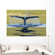 Humpback Whale Diving With Tail Fluke Visible Wall Mural
