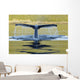 Humpback Whale Diving With Tail Fluke Visible Wall Mural
