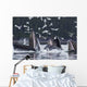 Humpback Whales Bubble Net Feeding For Herring In Chatham Strait Wall Mural