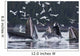 Humpback Whales Bubble Net Feeding For Herring In Chatham Strait Wall Mural