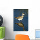 Greater Yellow-Legs Standing In Shallows Sc Ak Summer Wall Mural