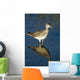 Greater Yellow-Legs Standing In Shallows Sc Ak Summer Wall Mural