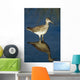 Greater Yellow-Legs Standing In Shallows Sc Ak Summer Wall Mural