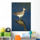 Greater Yellow-Legs Standing In Shallows Sc Ak Summer Wall Mural