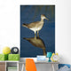 Greater Yellow-Legs Standing In Shallows Sc Ak Summer Wall Mural