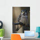 Close Up Of Hawk Owl Perched On A Branch Wall Mural