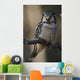 Close Up Of Hawk Owl Perched On A Branch Wall Mural