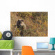 A Brown Bear Forages On Soapberries Wall Mural