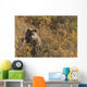A Brown Bear Forages On Soapberries Wall Mural