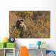 A Brown Bear Forages On Soapberries Wall Mural