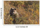 A Brown Bear Forages On Soapberries Wall Mural