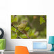 Wilson's Warbler Perched On Branch, Spring, Southcentral Alaska Wall Mural