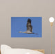 Sandhill Crane In Flight Over The Matanuska-Susitna Valley Near Palmer Wall Mural