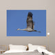 Sandhill Crane In Flight Over The Matanuska-Susitna Valley Near Palmer Wall Mural