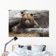 An Adult Brown Bear Rests On A Log Wall Mural