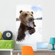 Humorous Wide-Angle Close Up Of An Open-Mouthed Adult Brown Bear Sow Wall Mural