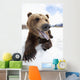 Humorous Wide-Angle Close Up Of An Open-Mouthed Adult Brown Bear Sow Wall Mural