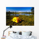 Tent Camping In Wrangell Saint Elias National Park With Mount Sanford Wall Mural