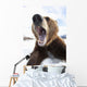 Humorous Wide-Angle Close Up Of An Open-Mouthed Adult Brown Bear Sow Wall Mural