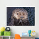 Close Up View Of A Sea Otter At The Alaska Sealife Center In Seward Wall Mural