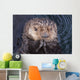 Close Up View Of A Sea Otter At The Alaska Sealife Center In Seward Wall Mural
