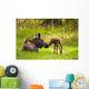 Cow And Calf Moose In Grass, Kincaid Park, Anchorage, Alaska Wall Mural