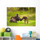 Cow And Calf Moose In Grass, Kincaid Park, Anchorage, Alaska Wall Mural