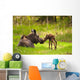 Cow And Calf Moose In Grass, Kincaid Park, Anchorage, Alaska Wall Mural