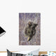 Porcupine Hangs On A Willow Tree Branch, Interior Alaska, Spring Wall Mural