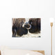 Close Up Of Two Bull Musk Oxen Standing Face To Face Wall Mural