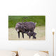 A Day Old Reindeer Calf Is Nuzzled By Its Mother In A Grassy Field Wall Mural