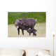 A Day Old Reindeer Calf Is Nuzzled By Its Mother In A Grassy Field Wall Mural