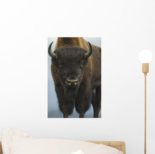 Up Wide-angle Brown Bear Wall Decal