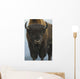 Up Wide-angle Brown Bear Wall Decal