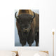 Up Wide-angle Brown Bear Wall Decal