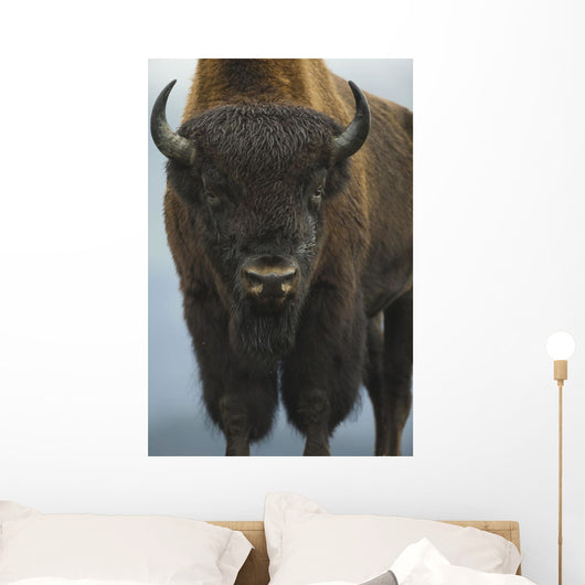 Up Wide-angle Brown Bear Wall Decal