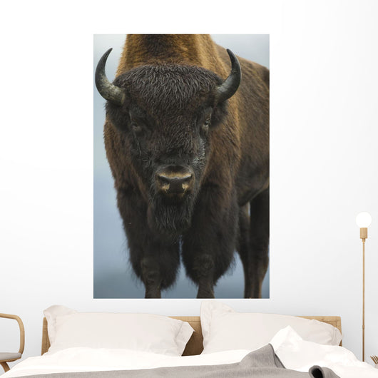 Up Wide-angle Brown Bear Wall Decal