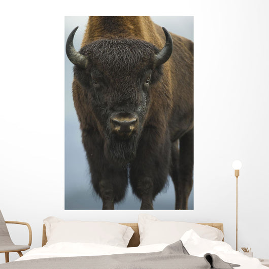 Up Wide-angle Brown Bear Wall Decal