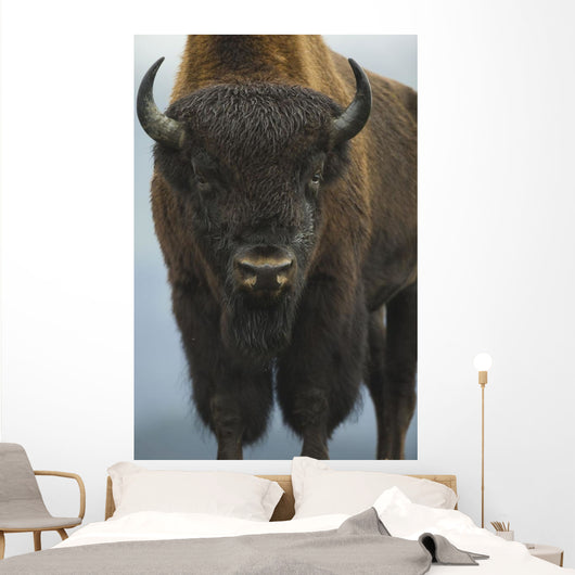 Up Wide-angle Brown Bear Wall Decal