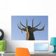 Close Up View Of A Rocky Mountain Bull Elk Bugling Wall Mural