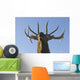 Close Up View Of A Rocky Mountain Bull Elk Bugling Wall Mural