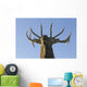 Close Up View Of A Rocky Mountain Bull Elk Bugling Wall Mural