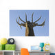 Close Up View Of A Rocky Mountain Bull Elk Bugling Wall Mural