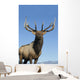 Portrait Of A Rocky Mountain Bull Elk Wall Mural