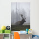 An Adult Roosevelt Bull Elk Lies On A Hillside In Early Morning Fog Wall Mural