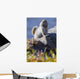 Close Up Of An Adult Arctic Ground Squirrel Sitting Wall Mural
